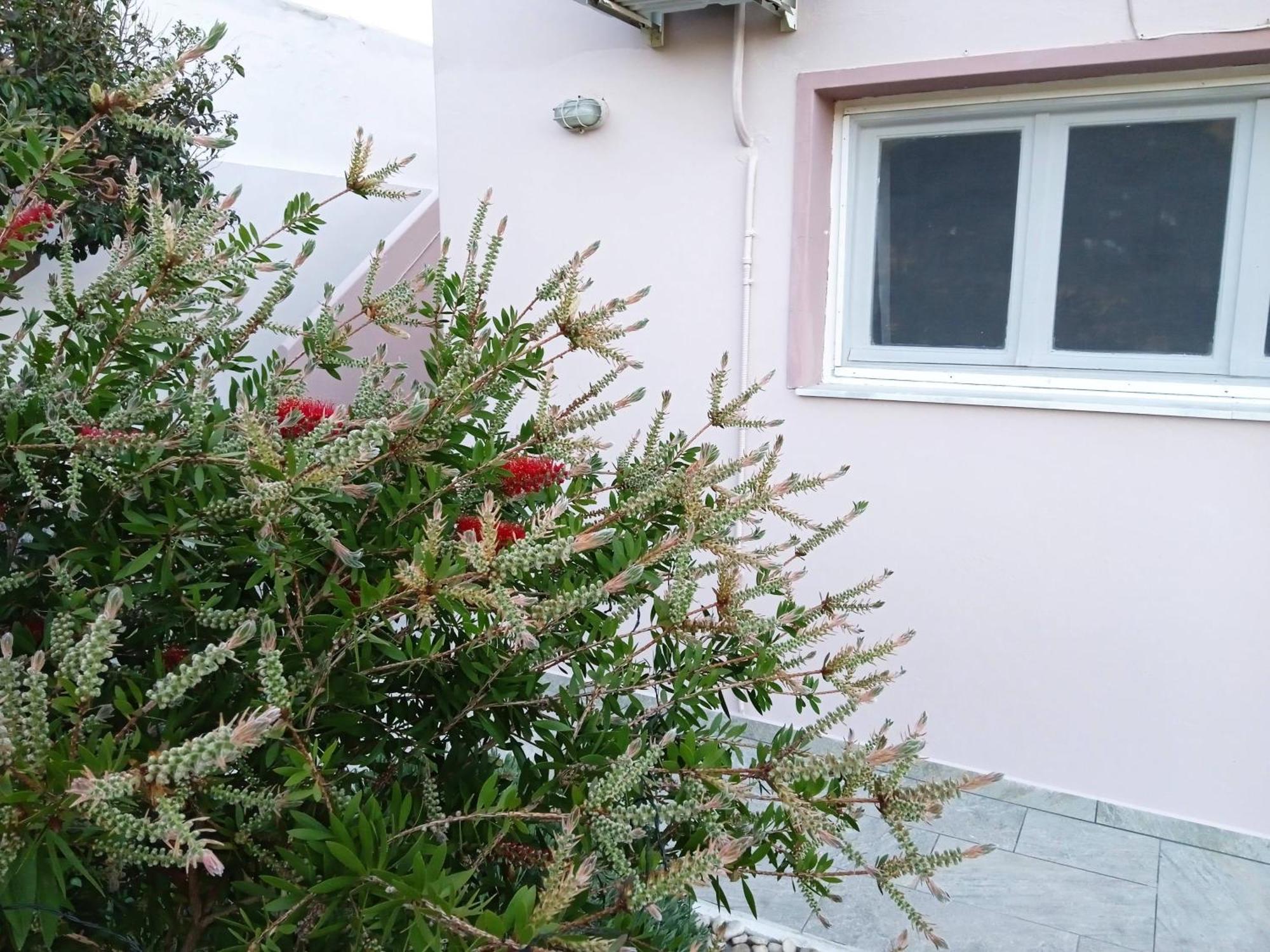Andros Lighthouse Apartments Mesaria  Eksteriør bilde